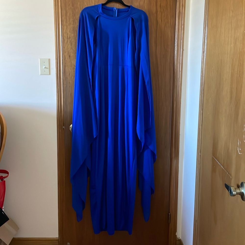 Long dress with chiffon sleeves.
